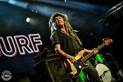 Photo du concert du groupe NADA SURF à Guitare en Scène 2025