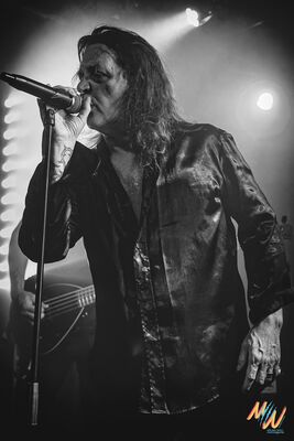 Melany Wild - Brin de Zinc - décembre 2024