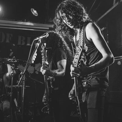 Brin de Zinc - Melany Wild