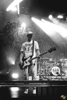 Melany Wild - concert