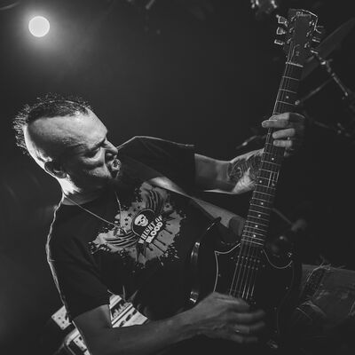 Brin de Zinc - Melany Wild