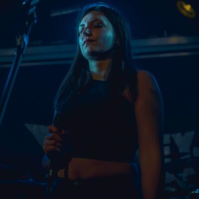 Brin de Zinc - Melany Wild