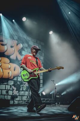 Melany Wild - concert