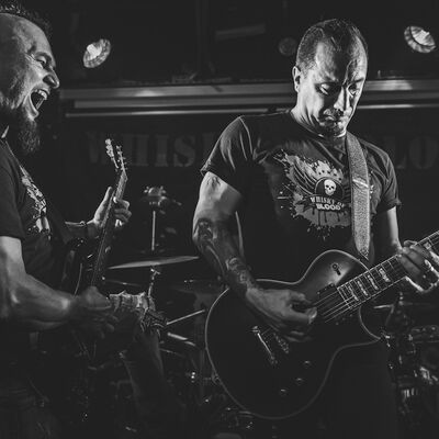 Brin de Zinc - Melany Wild