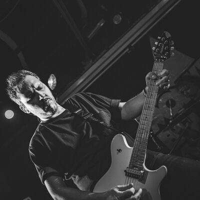 Brin de Zinc - Melany Wild