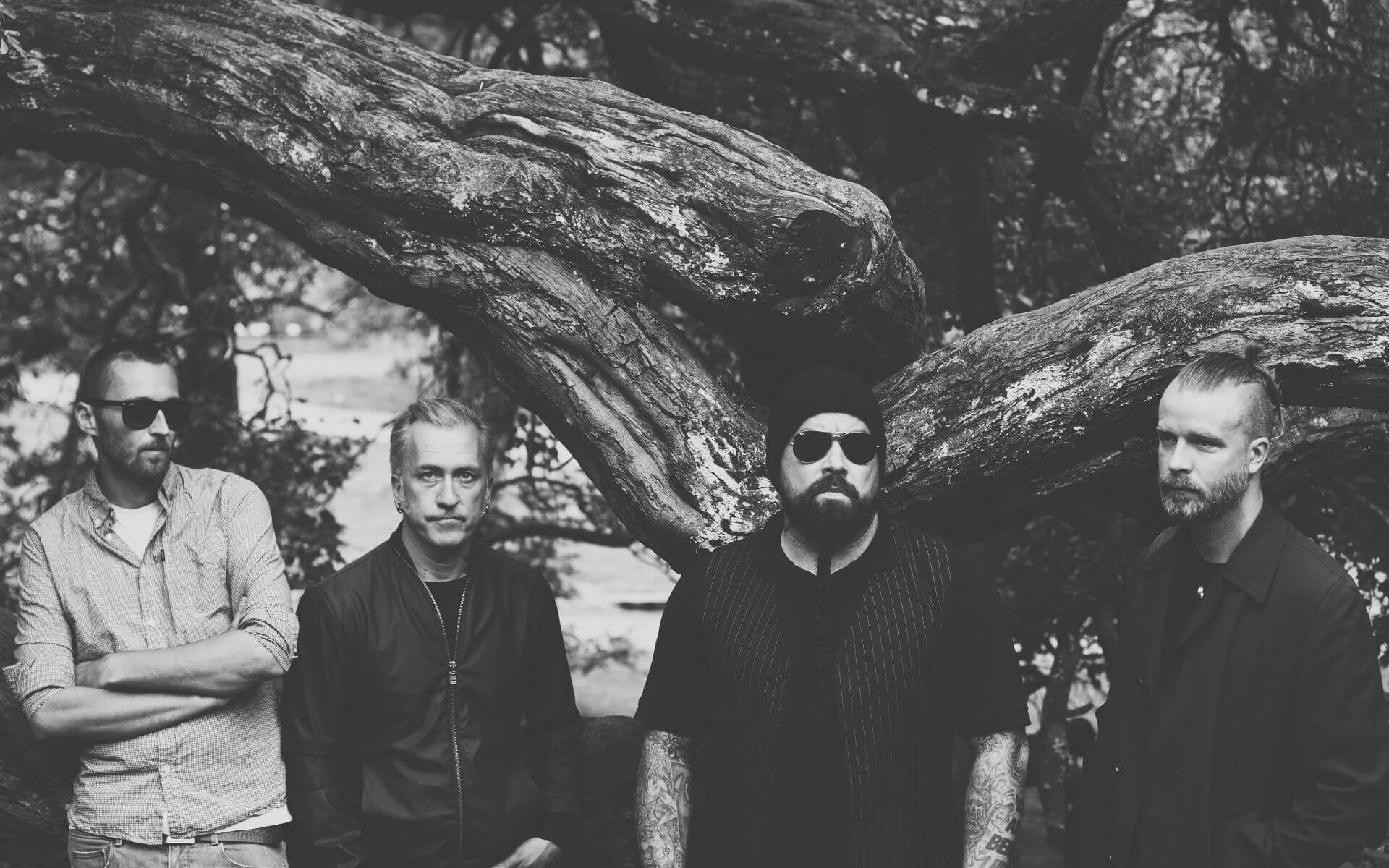 Ulver