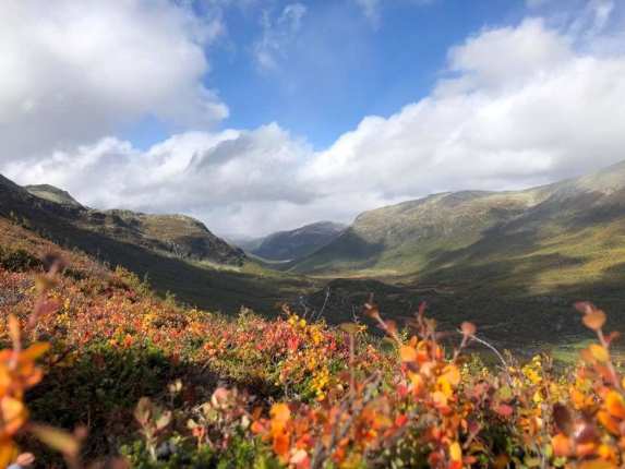 Hemsedal - Photo par Ask Ty © 2018 