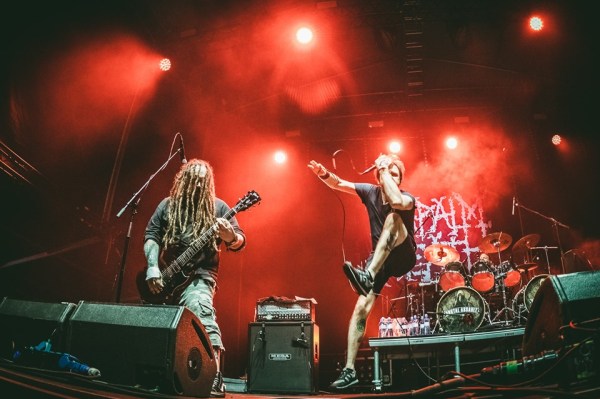 napalm death - Brutal Assault 2019